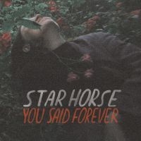 STAR HORSE - YOU SAID FOREVER i gruppen VINYL hos Bengans Skivbutik AB (3495817)