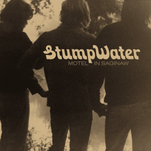 Stumpwater - Motel In Saginaw i gruppen VINYL / Rock hos Bengans Skivbutik AB (3496112)