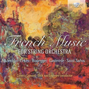 Various - French Music For String Orchestra i gruppen CD hos Bengans Skivbutik AB (3496268)