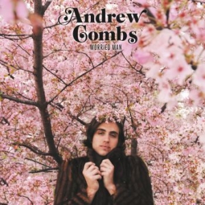 Combs Andrew - Worried Man i gruppen CD hos Bengans Skivbutik AB (3496844)