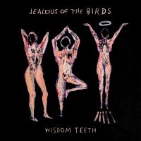 Jealous Of The Birds - Wisdom Teeth i gruppen VINYL hos Bengans Skivbutik AB (3498256)