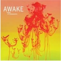 Awake - Aubes Et Crepuscules i gruppen CD hos Bengans Skivbutik AB (3509661)