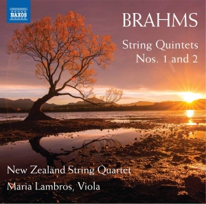 Brahms Johannes - String Quintets Nos. 1 And 2 i gruppen CD hos Bengans Skivbutik AB (3509824)