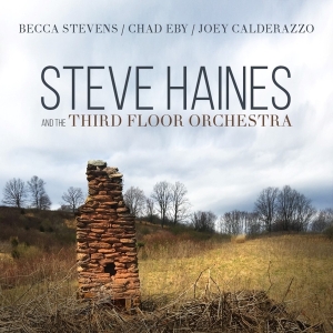 Haines Steve And The Third Floor Orchestra - Steve Haines And The Third Floor Orchestra i gruppen CD hos Bengans Skivbutik AB (3510922)