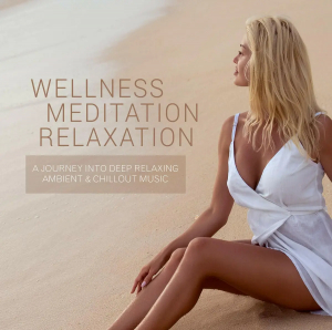 Blandade Artister - Wellness - Meditation - Relaxation i gruppen CD hos Bengans Skivbutik AB (3511833)