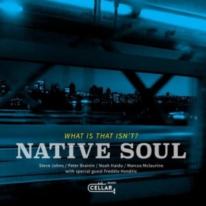 Native Soul - What Is That Isn't? i gruppen CD hos Bengans Skivbutik AB (3511883)