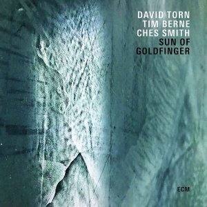 Torn David - Sun Of Goldfinger i gruppen VI TIPSER / Årsbestelistor 2019 / Årsbeste 2019 JazzTimes hos Bengans Skivbutik AB (3512312)