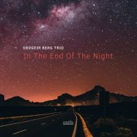 Berg Oddgeir (Trio) - In The End Of The Night i gruppen CD hos Bengans Skivbutik AB (3515001)