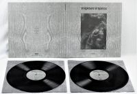 Paysage D'hiver - Steineiche (2 Lp Vinyl) i gruppen VINYL hos Bengans Skivbutik AB (3519921)