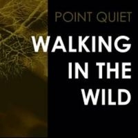 Point Quiet - Walking In The Wind i gruppen VINYL hos Bengans Skivbutik AB (3522497)