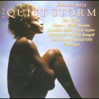 Blandade Artister - Smooth Jazz - Quiet Storm i gruppen CD hos Bengans Skivbutik AB (3529582)