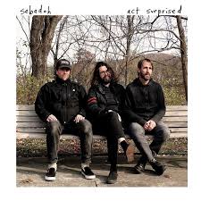 Sebadoh - Act Surprised (Col.Vinyl) i gruppen VINYL hos Bengans Skivbutik AB (3533088)