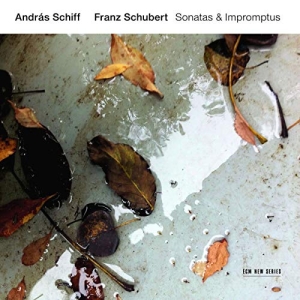 Schubert Franz - Sonatas & Impromptus i gruppen CD hos Bengans Skivbutik AB (3546828)