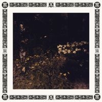 Davachi Sarah - Pale Bloom i gruppen VINYL hos Bengans Skivbutik AB (3555433)