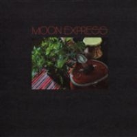 Moon Express - Prophetic Spirit i gruppen VI TIPSER / Record Store Day / RSD2013-2020 hos Bengans Skivbutik AB (3555834)