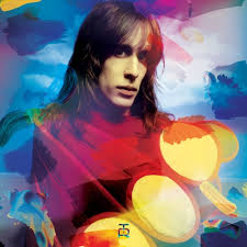 Todd Rundgren - The Complete U.S. Bearsville & Warner Br i gruppen VINYL hos Bengans Skivbutik AB (3555965)