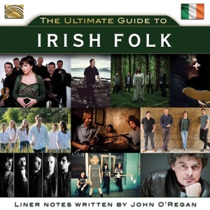 Various Artists - Irish Folk i gruppen CD hos Bengans Skivbutik AB (3556772)