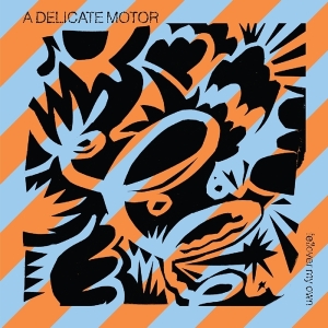 A Delicate Motor - Fellover My Own i gruppen VINYL hos Bengans Skivbutik AB (3558542)