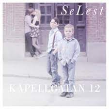 Selest - Kapellgatan 12 i gruppen VI TIPSER / Julegavetips Vinyl hos Bengans Skivbutik AB (3563250)