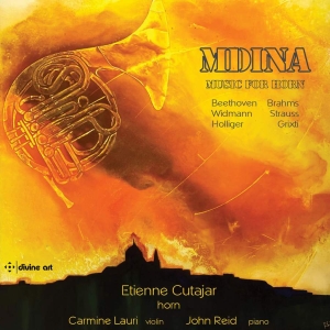 Various - Mdina - Music For Horn i gruppen VI TIPSER / Julegavetips CD hos Bengans Skivbutik AB (3566068)