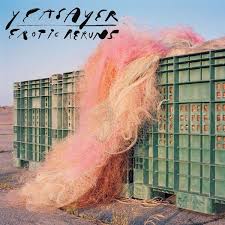 Yeasayer - Erotic Reruns i gruppen VINYL hos Bengans Skivbutik AB (3599399)