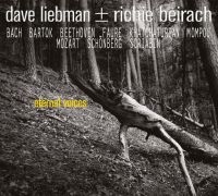 Liebman Dave & Richie Beirach - Eternal Voices i gruppen CD hos Bengans Skivbutik AB (3599523)