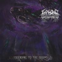 Euphoric Defilement - Ascending To The Worms i gruppen CD hos Bengans Skivbutik AB (3636569)