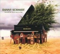 Schmidt Danny - Instead The Forest Rose To Sing i gruppen CD hos Bengans Skivbutik AB (3642603)