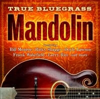 Blandade Artister - True Bluegrass Mandolin i gruppen CD hos Bengans Skivbutik AB (3653885)