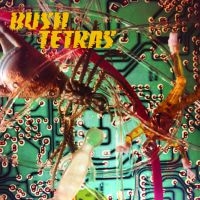 Bush Tetras - There Is A Hum i gruppen VINYL hos Bengans Skivbutik AB (3654084)