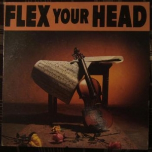 V/A - Indie Rock - Flex Your Head i gruppen VINYL hos Bengans Skivbutik AB (3656186)