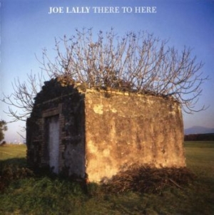 Lally Joe - There To Here i gruppen CD hos Bengans Skivbutik AB (3656394)