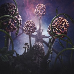 Blut Aus Nord - Hallucinogen (2 Lp Vinyl) i gruppen VINYL hos Bengans Skivbutik AB (3657155)