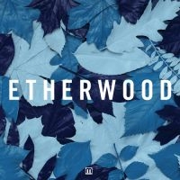 Etherwood - Blue Leaves i gruppen CD hos Bengans Skivbutik AB (3659197)