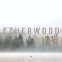 Etherwood - In Stillness i gruppen VINYL hos Bengans Skivbutik AB (3662089)