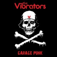 Vibrators - Garage Punk i gruppen VINYL hos Bengans Skivbutik AB (3664641)