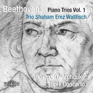 Beethoven Ludwig Van - Piano Trios Vol. 1: Archduke Trio & i gruppen VI TIPSER / Julegavetips CD hos Bengans Skivbutik AB (3665962)