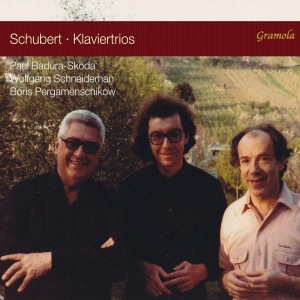 Schubert Franz - Piano Trios i gruppen CD hos Bengans Skivbutik AB (3665994)