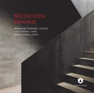 Beethoven Ludwig Van Brahms Joha - Clarinet Trios i gruppen CD hos Bengans Skivbutik AB (3666008)