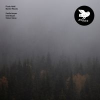 Haltli Frode - Border Woods i gruppen VINYL hos Bengans Skivbutik AB (3669425)