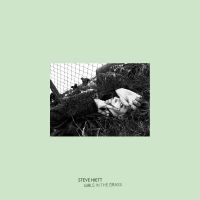 Steve Hiett - Girls In The Grass i gruppen Kommende produkter - 10 procent hos Bengans Skivbutik AB (3674934)