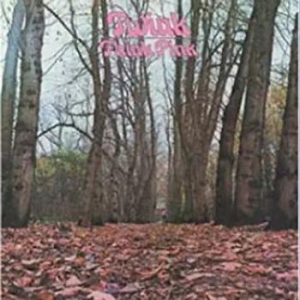 Twink - Twink Pink i gruppen VINYL hos Bengans Skivbutik AB (3675562)