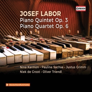 Labor Josef - Piano Quintet Op. 3, Piano Quartet i gruppen VI TIPSER / Julegavetips CD hos Bengans Skivbutik AB (3676740)