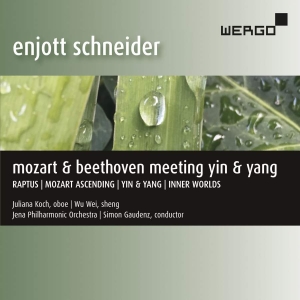 Schneider Enjott - Mozart & Beethoven Meeting Yin & Ya i gruppen VI TIPSER / Julegavetips CD hos Bengans Skivbutik AB (3677084)