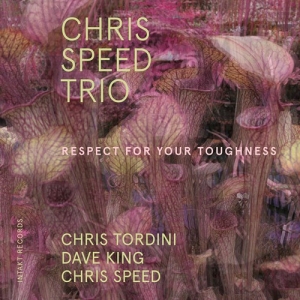 Chris Speed Trio - Respect For Your Toughness i gruppen CD hos Bengans Skivbutik AB (3681756)