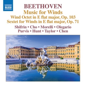 Beethoven Ludwig Van - Music For Winds i gruppen CD hos Bengans Skivbutik AB (3681816)