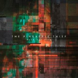 Pineapple Thief - Hold Our Fire i gruppen Minishops / The Pineapple Thief hos Bengans Skivbutik AB (3694355)