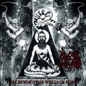 Black Mass Pervertor - Life Beyond The Walls Of Flesh i gruppen VINYL hos Bengans Skivbutik AB (3717802)