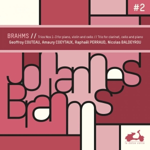 Brahms Johannes - Piano Trios & Clarinet Trio i gruppen CD / Klassisk,Annet hos Bengans Skivbutik AB (3725039)