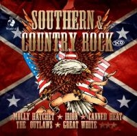 Southern & Country Rock - Various i gruppen CD / Pop-Rock hos Bengans Skivbutik AB (3727049)